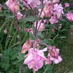 phoca_thumb_m_orlek 2 Fotogalerie